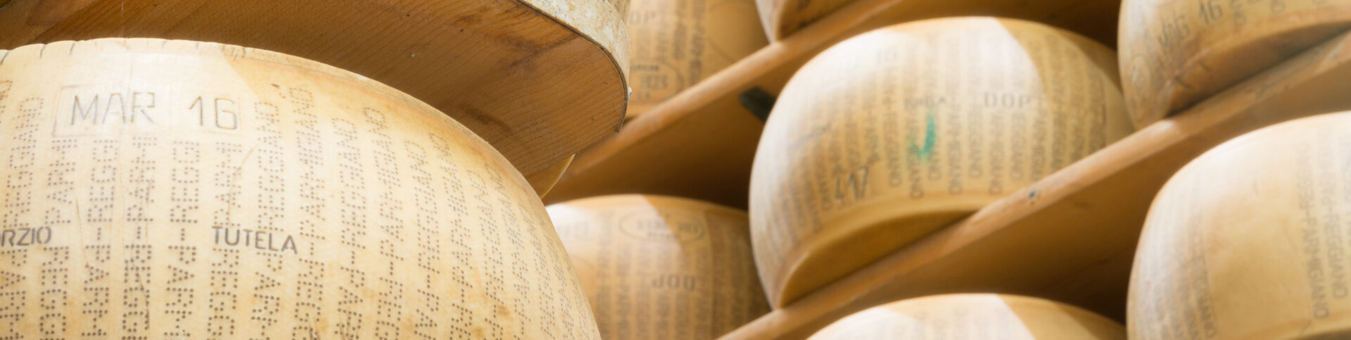 Discover all our cheeses